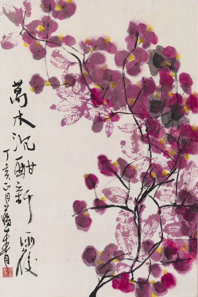 万木沉酣新雨后