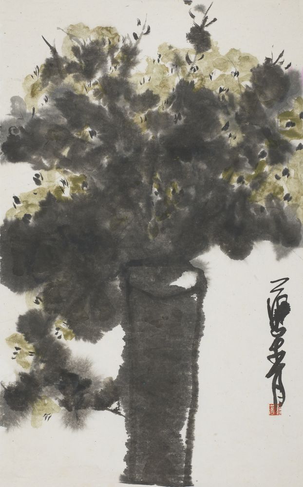 晨照