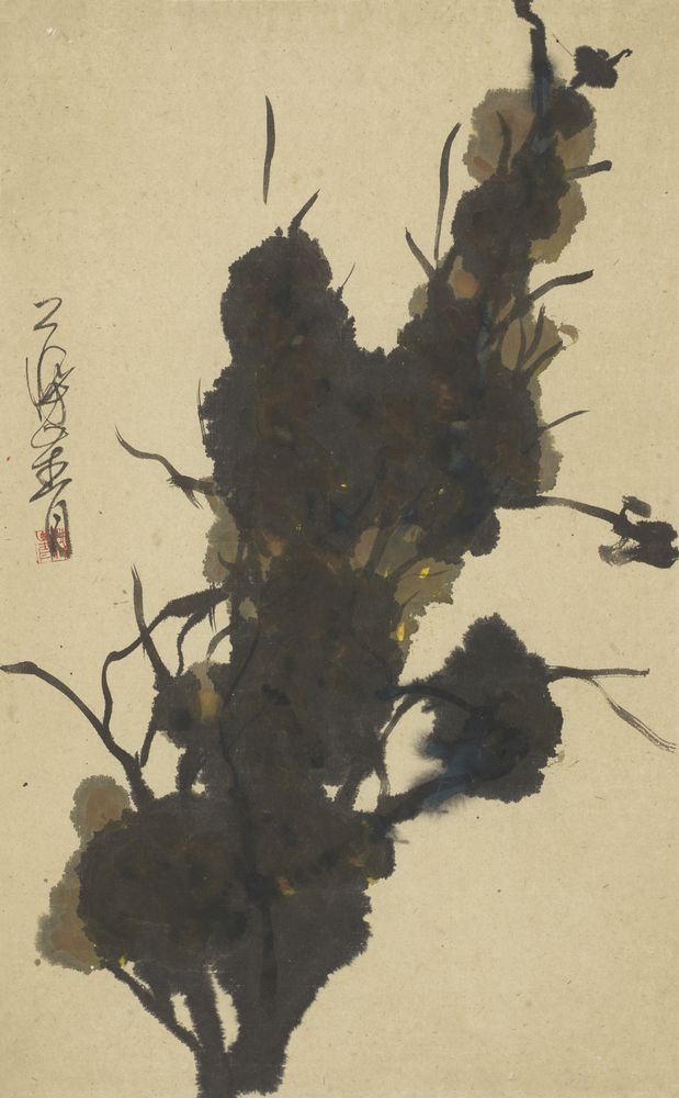 明循