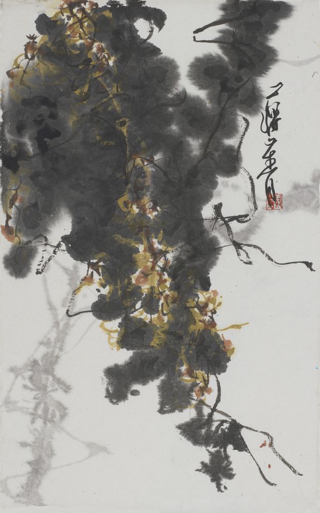 锦行