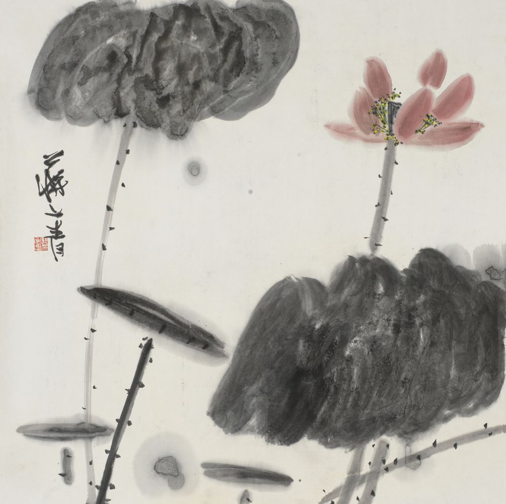 临风荷举