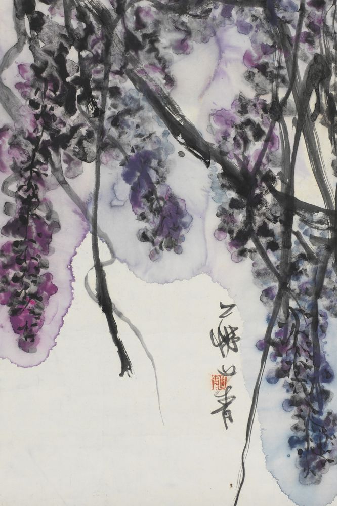 紫藤花开