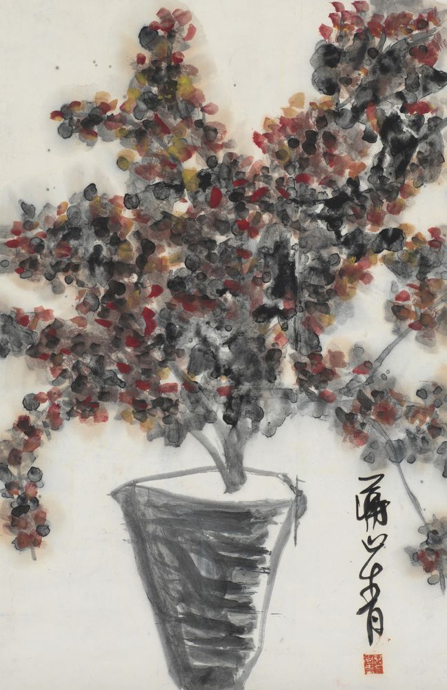 花影对月容