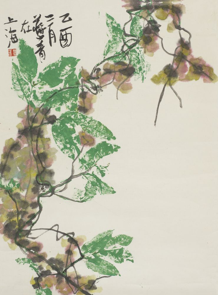 蝉羽