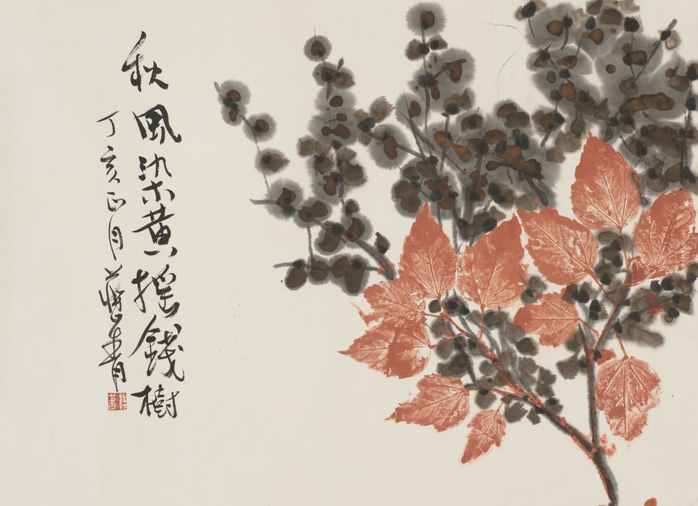 秋风染黄摇钱树