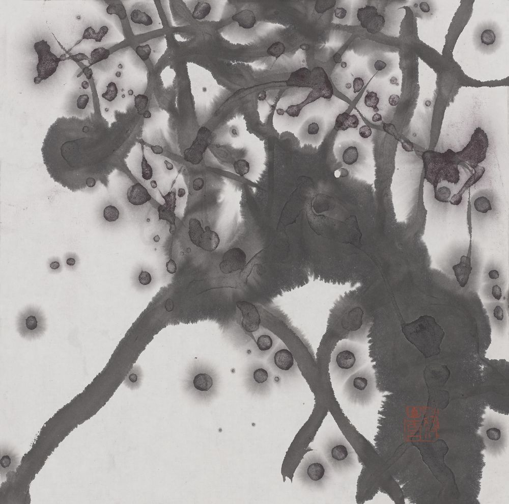小萼点珠光