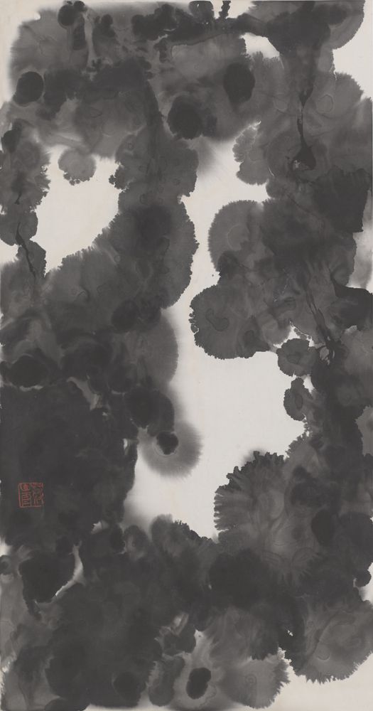 沛白