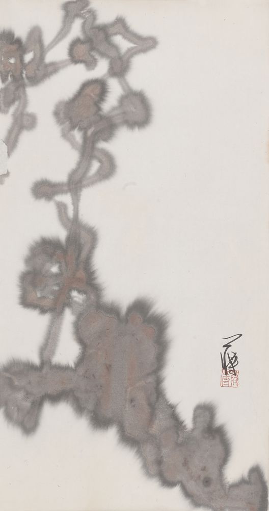 从云