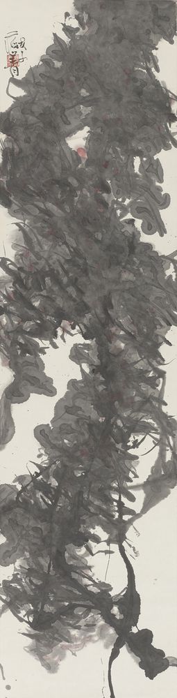 夏槐