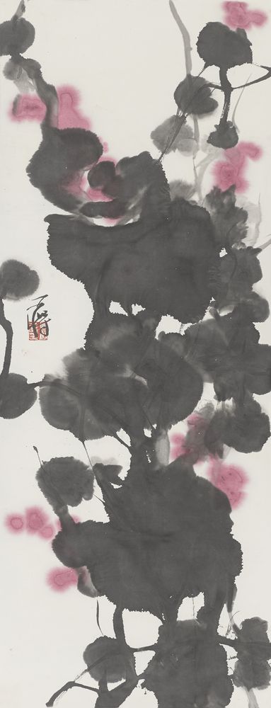 新蕾