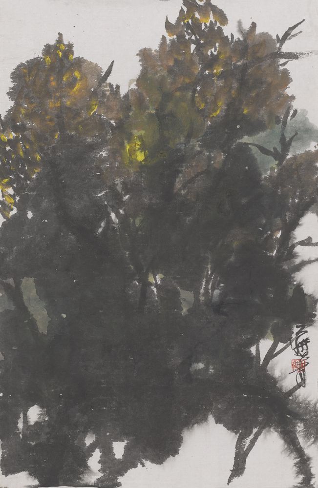 春光四面来