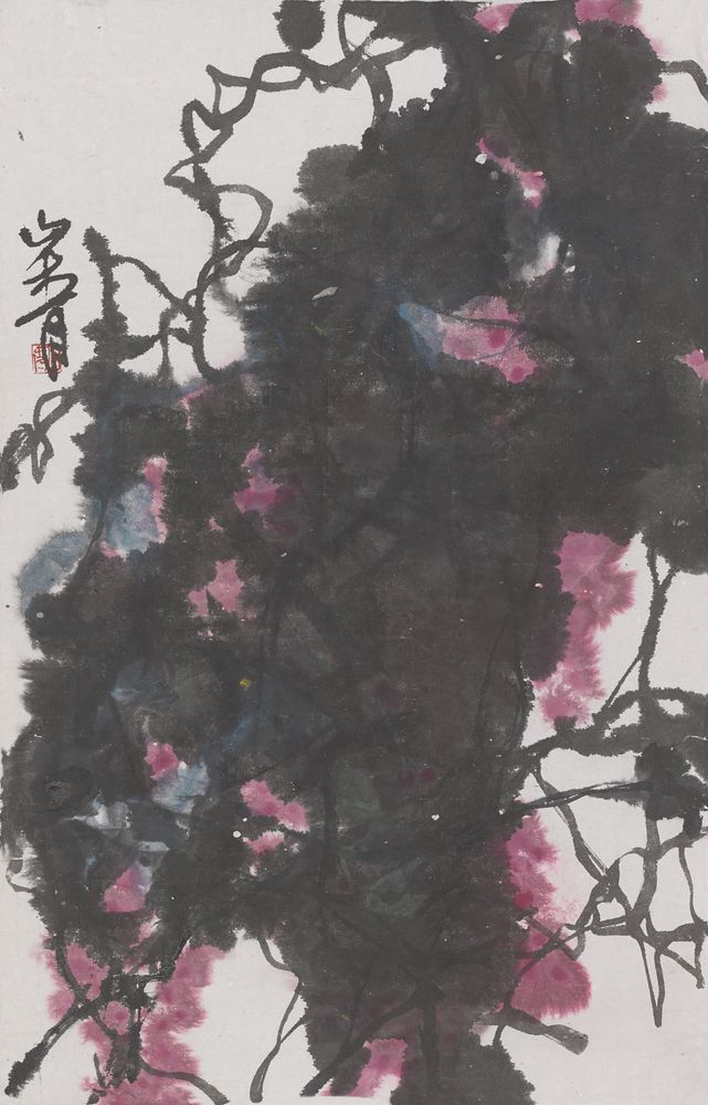 花晴帘影红