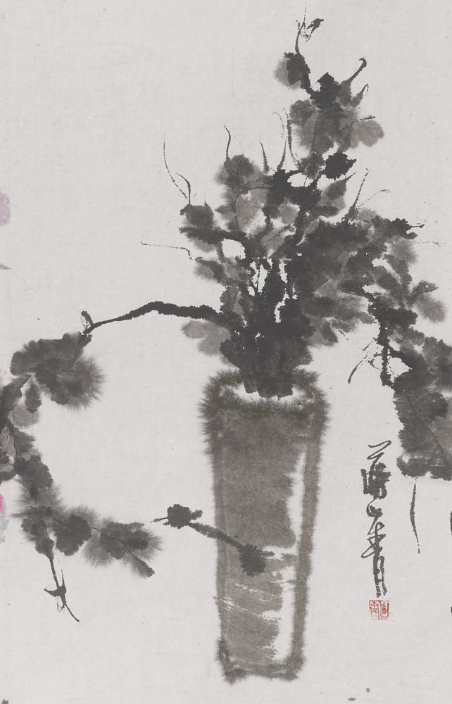 归插净瓶花转好