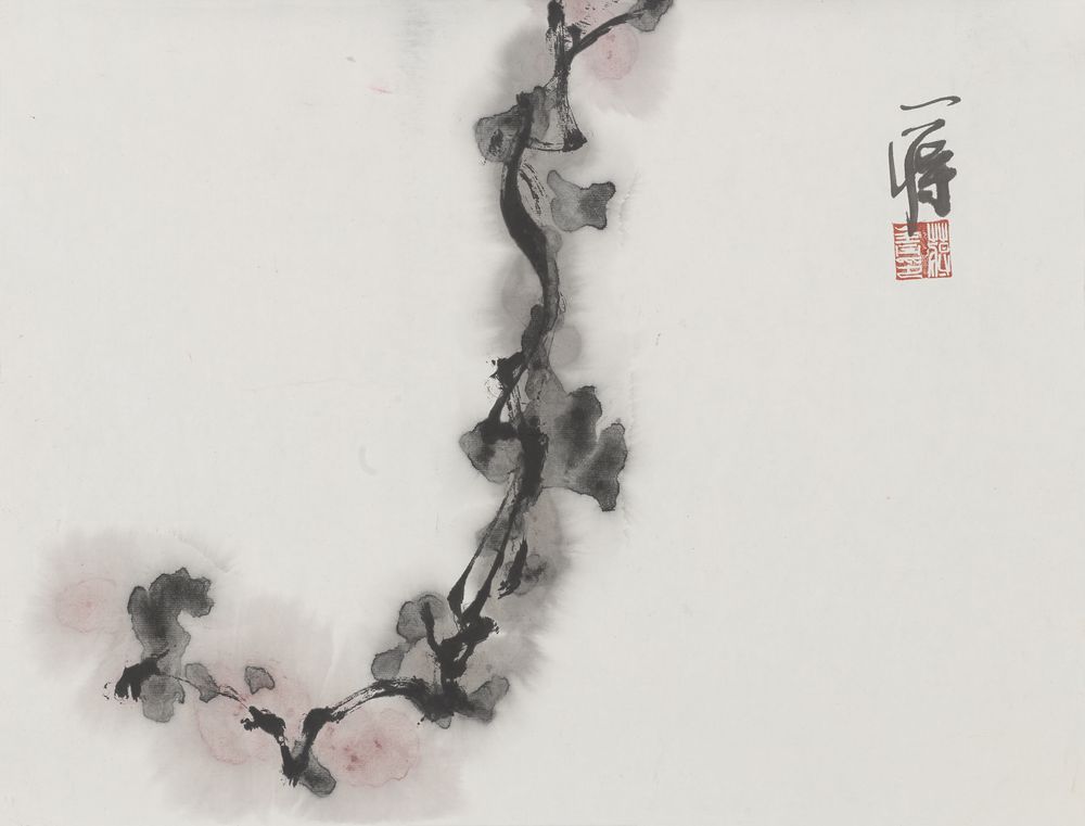 代珊