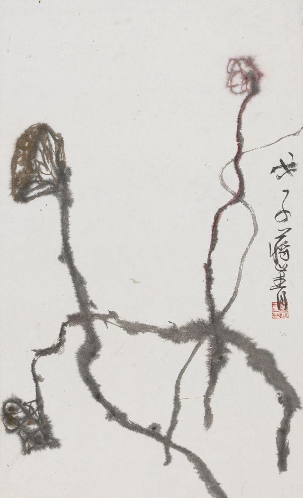 娉婷