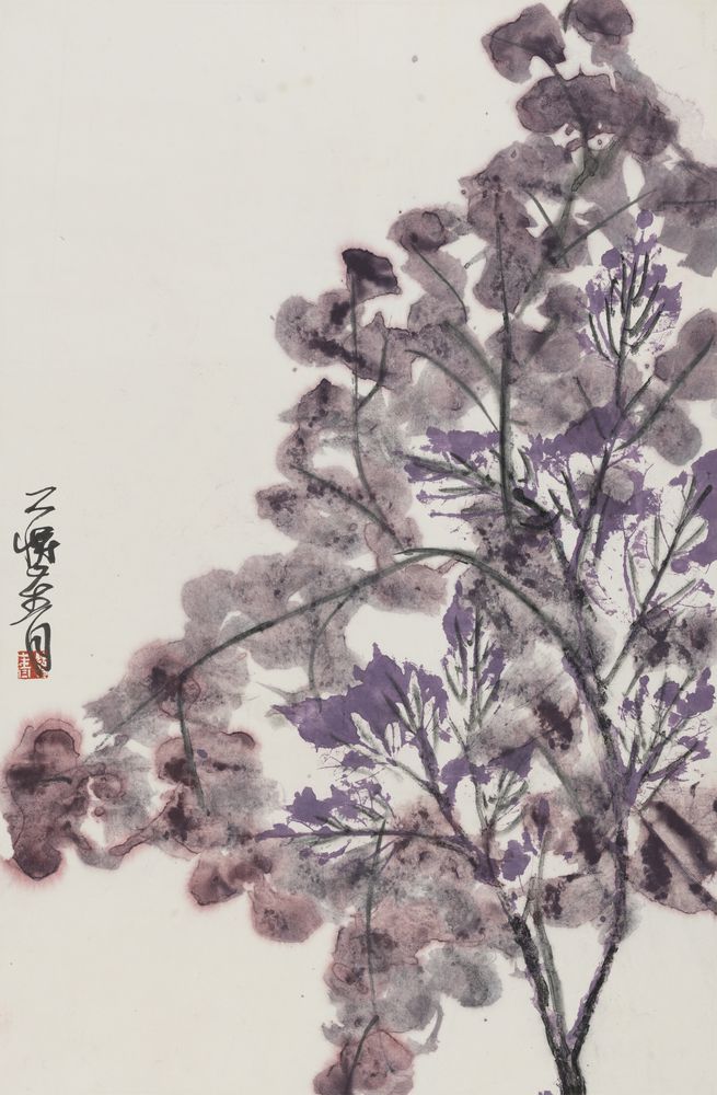 紫云衣润