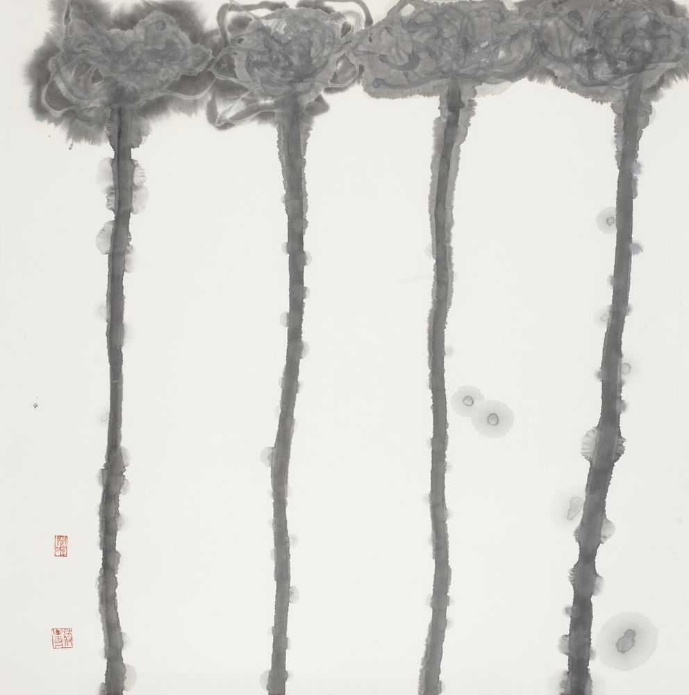 淇奥