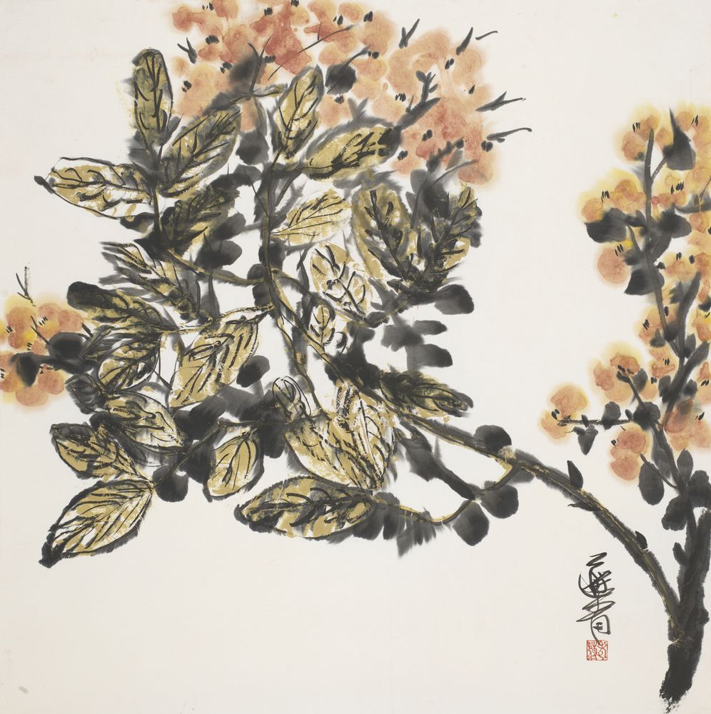 朵朵精神叶叶柔