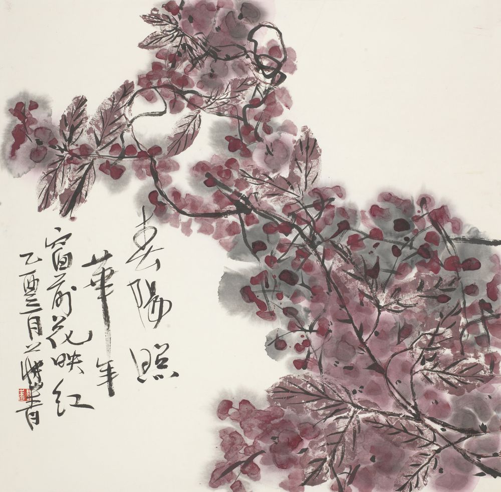 春阳照华年
