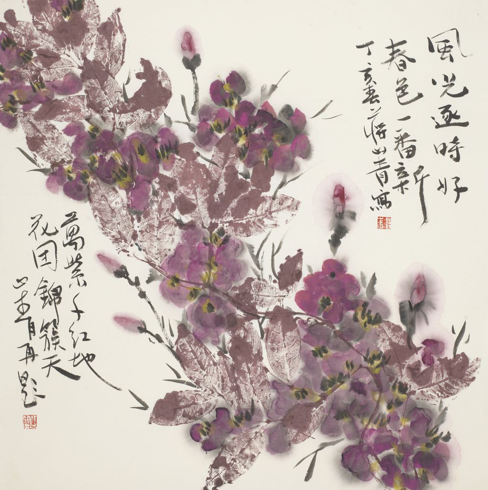风光追逐时好