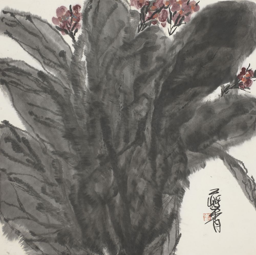 人间富贵花