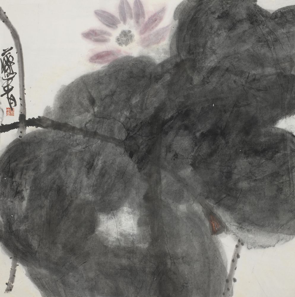 池上荷花绿净时