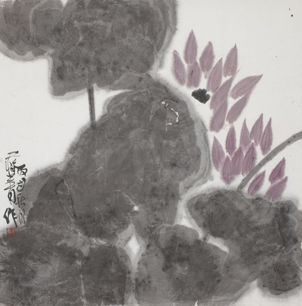 人共荷花丽
