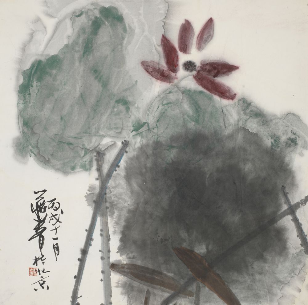 婉雅瑞荷花