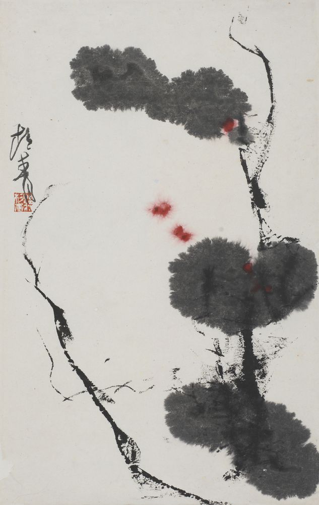 沐卉
