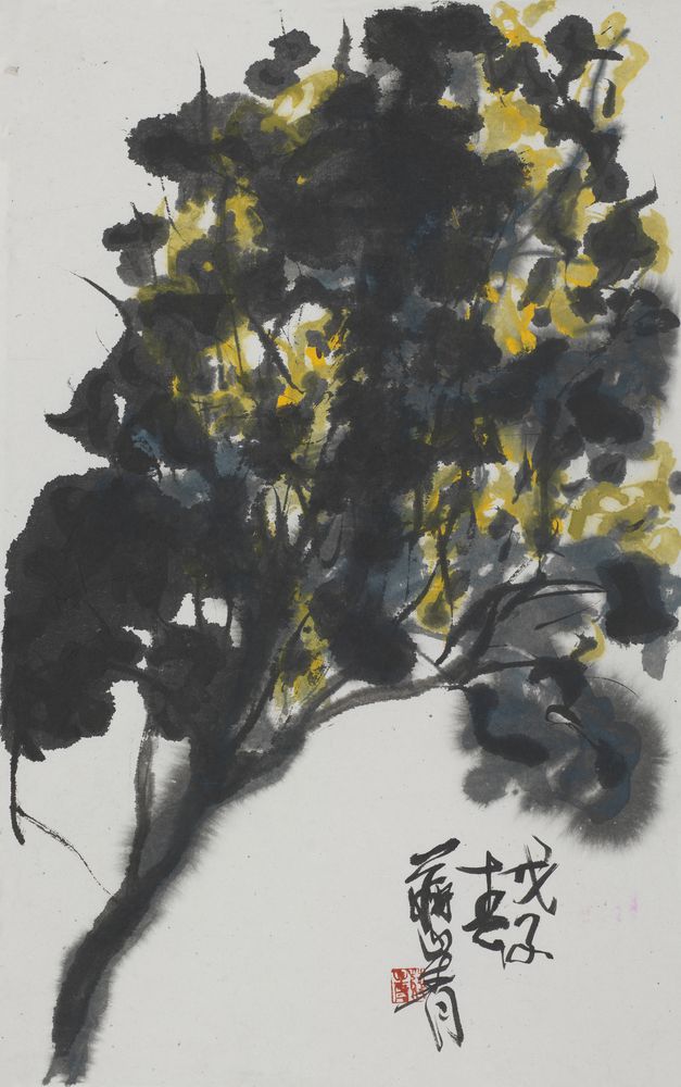 锦年