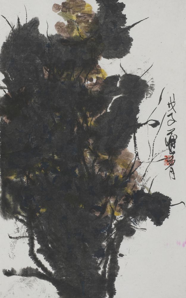 怀瑾