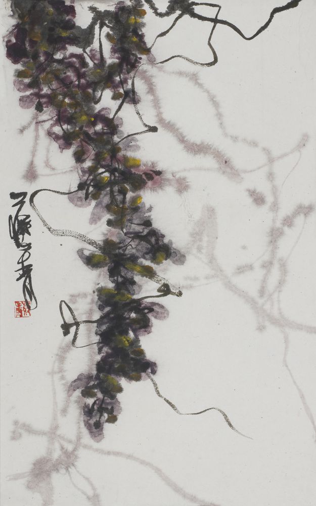 韶华