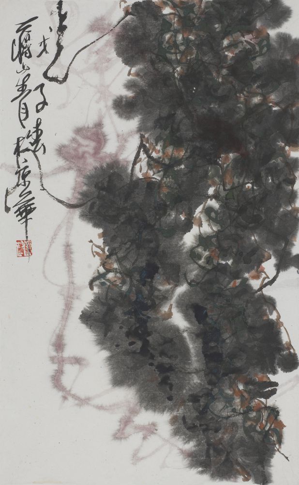 寻真