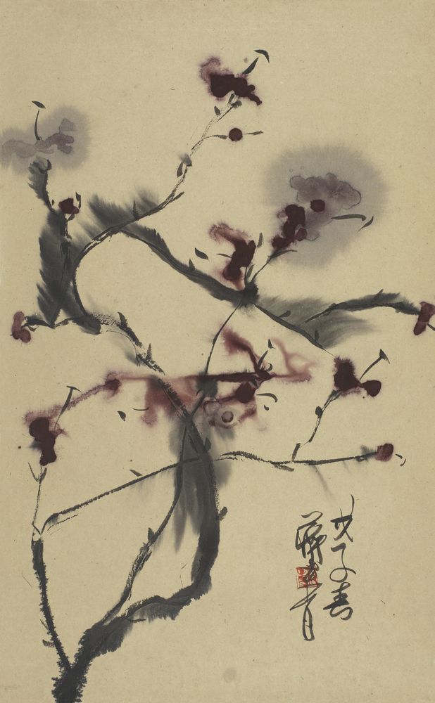 琼枝