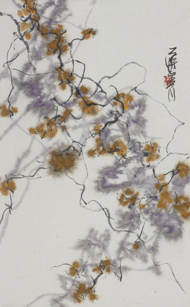 龙绡
