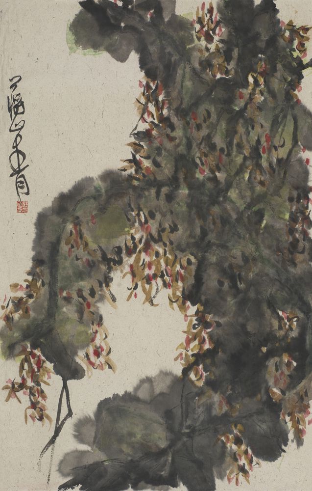 雅心