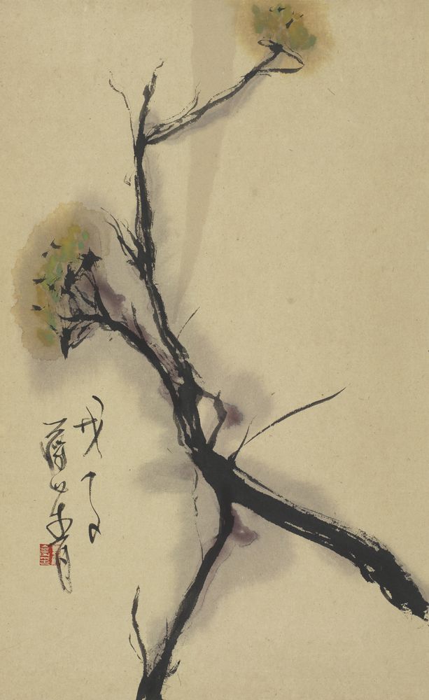 花拾