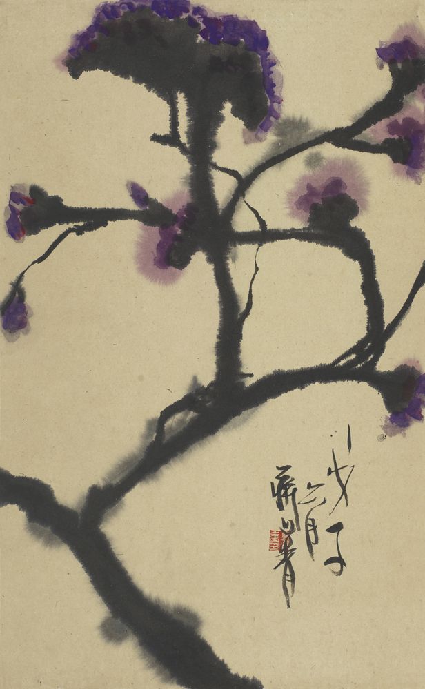 尧蔷