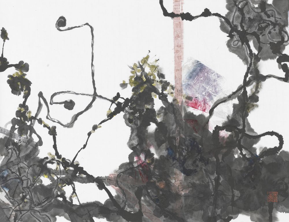 沛菡