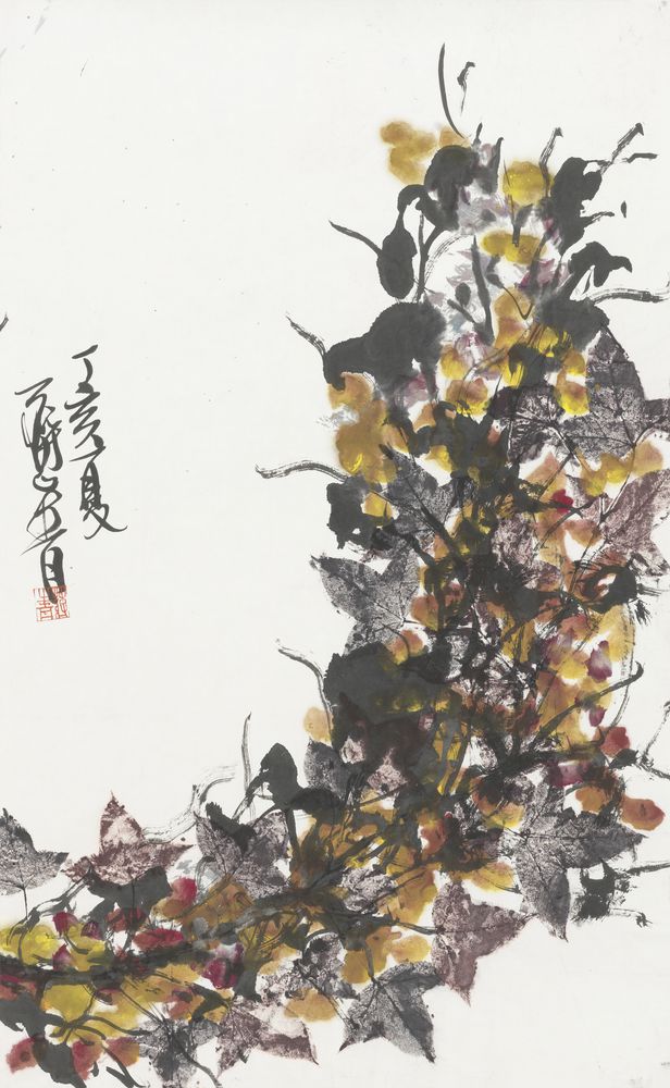 晓亦