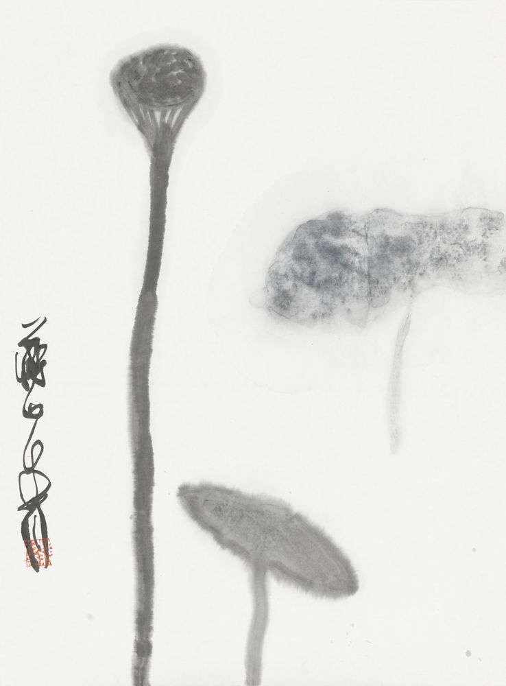 楚茨