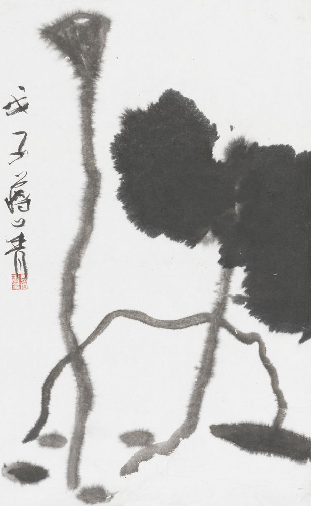 敝笱
