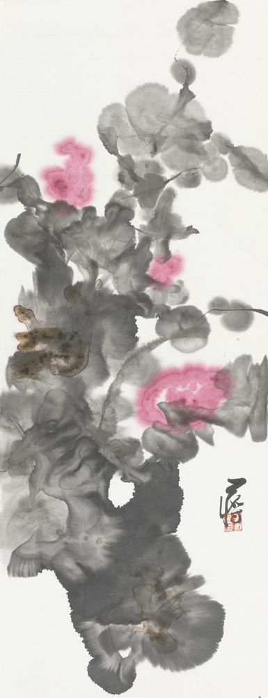 舒颜