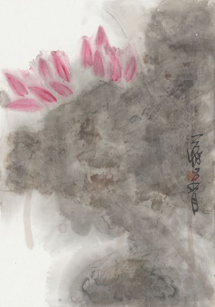 泽陂