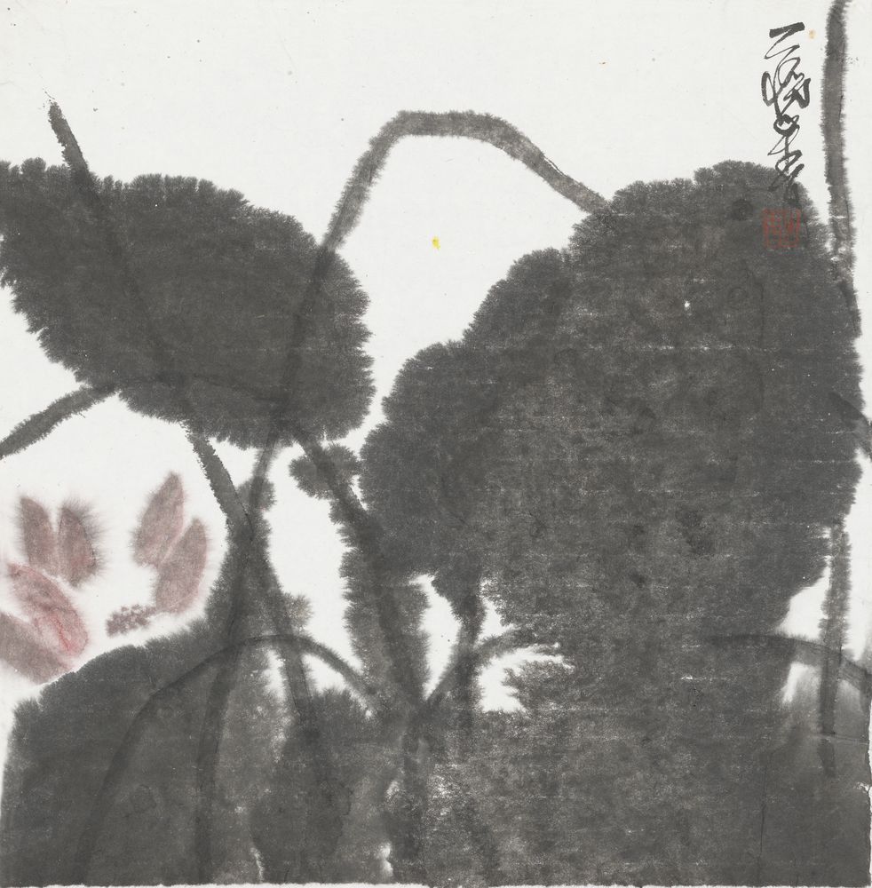行苇
