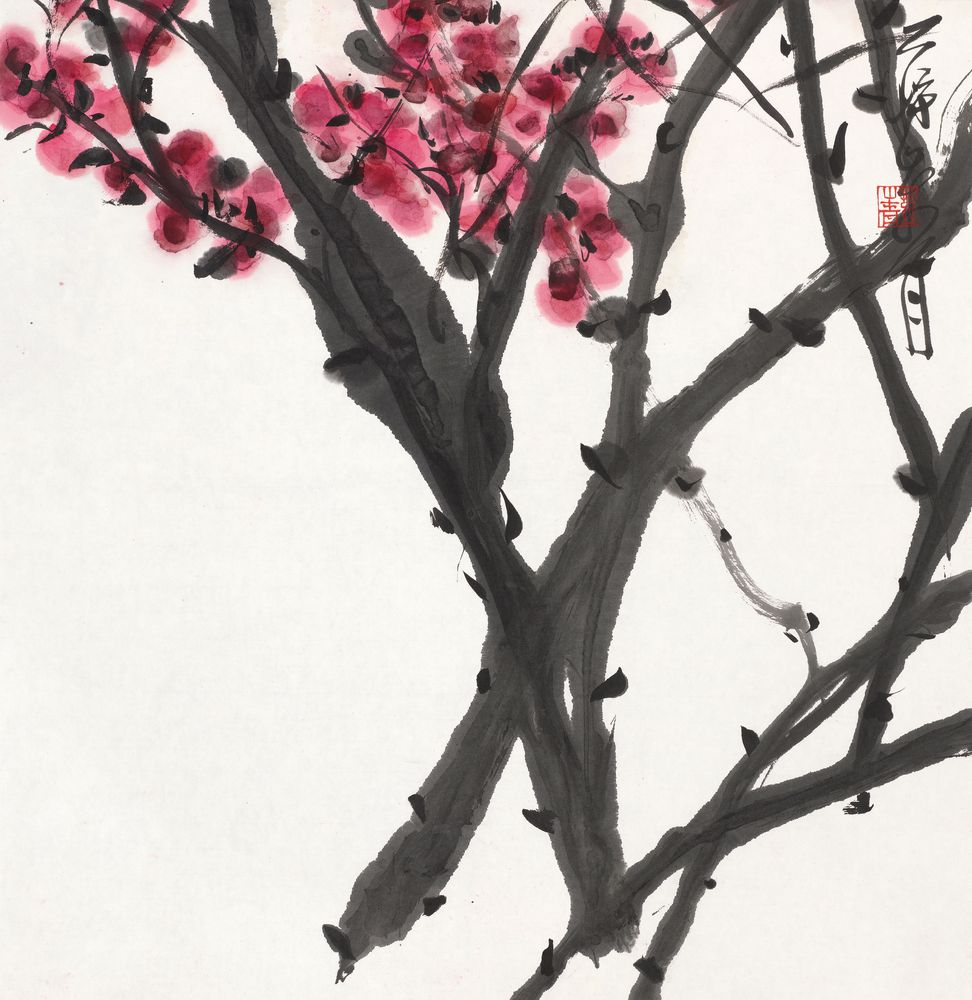 阳梅花春