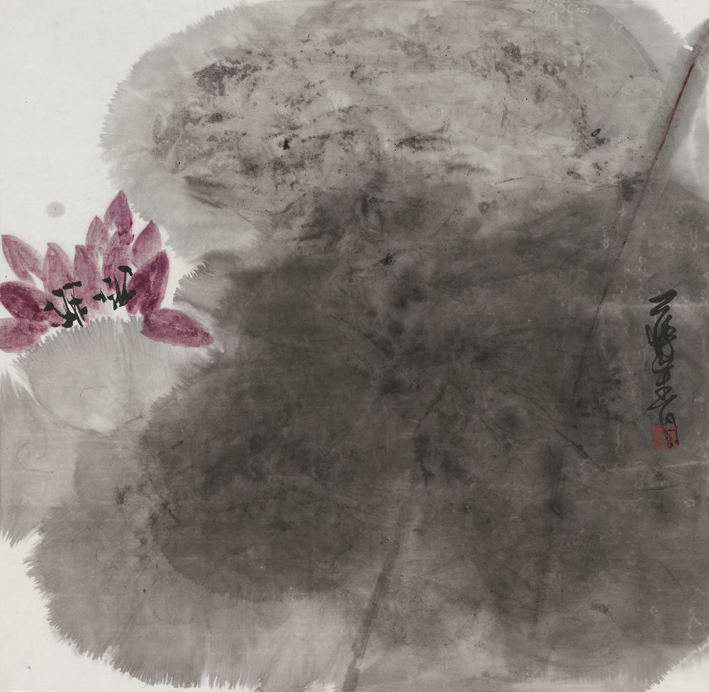 银莲花语
