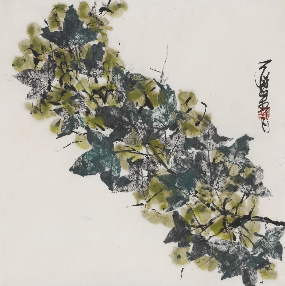 柔蒂