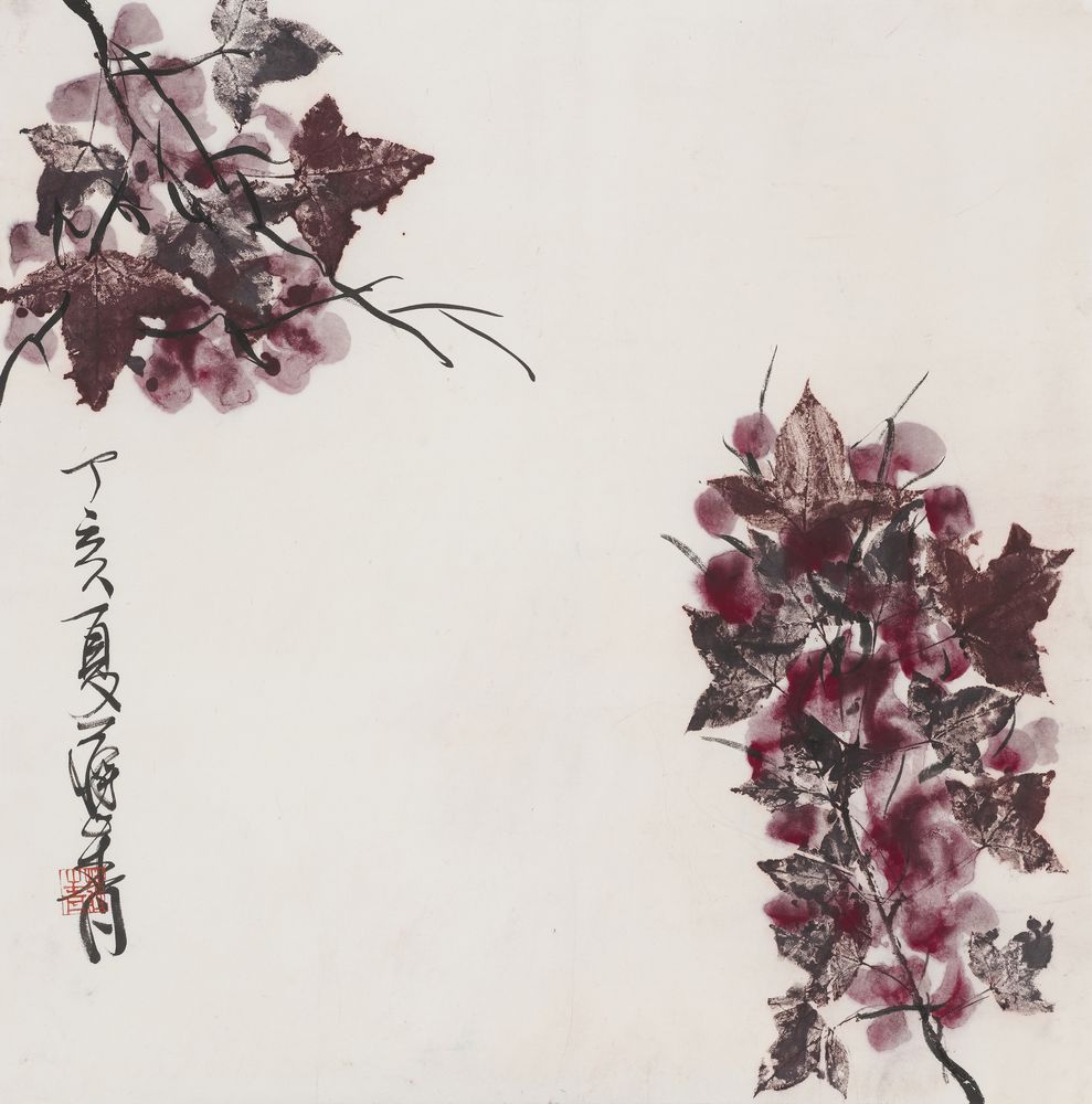 紫芝