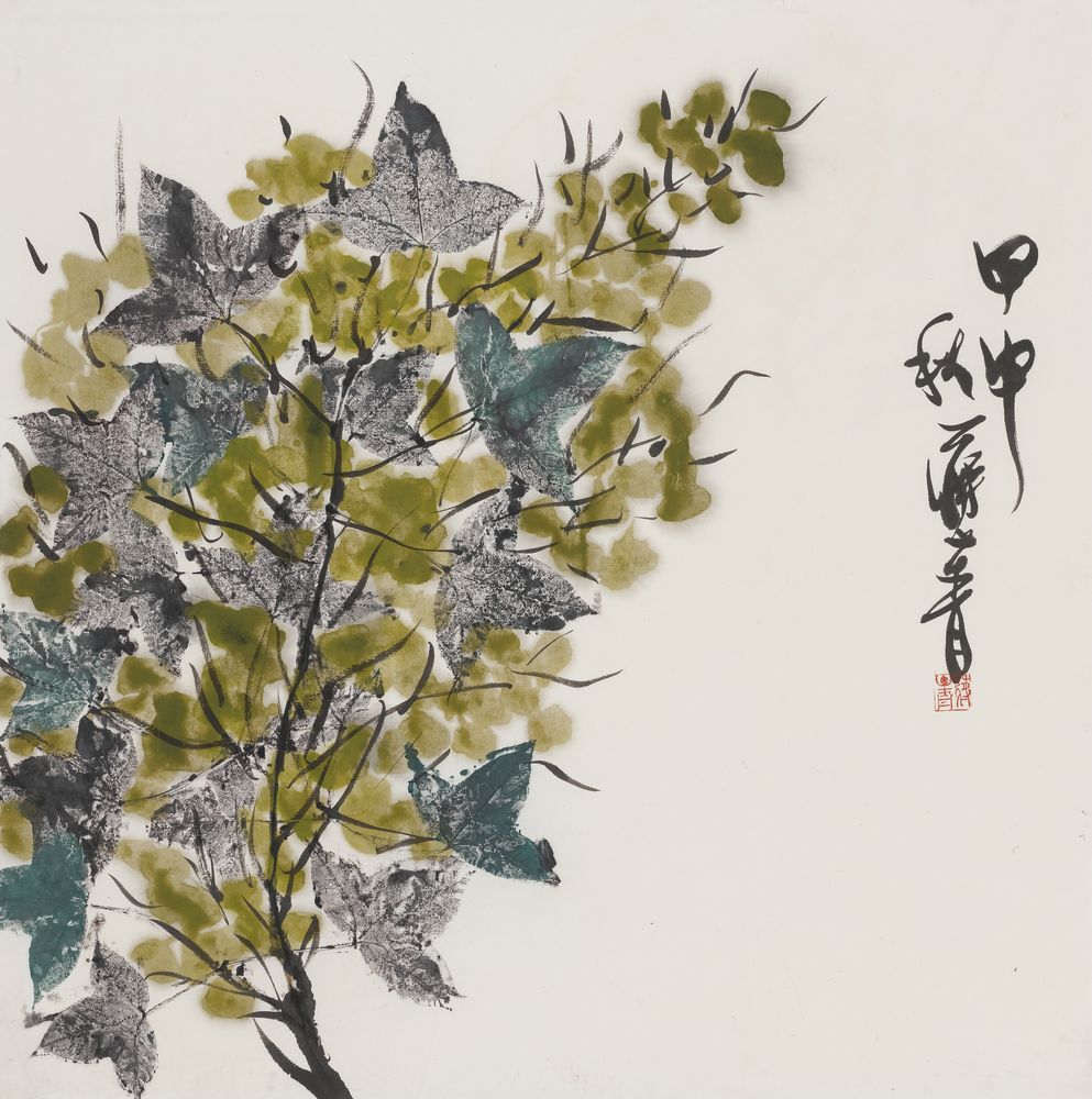 菲菲
